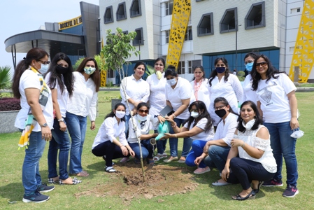 staff planting trees